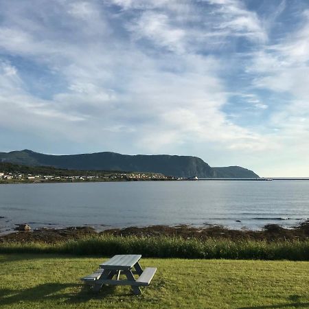 Wildflowers Country Inn Rocky Harbour Eksteriør billede