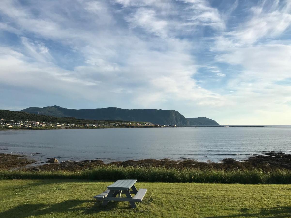 Wildflowers Country Inn Rocky Harbour Eksteriør billede