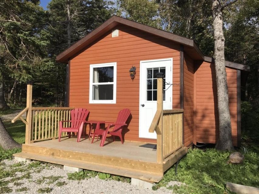 Wildflowers Country Inn Rocky Harbour Værelse billede